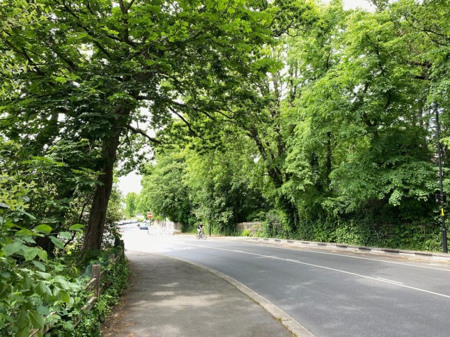 College Road in Dulwich, south London, with trees lining the road.